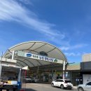 녹차골 보성식당 이미지