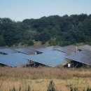 태양 행정사 사무소 이미지