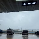 바다문어국밥곰치국 | [동해] 곰치국, 물회가 맛있는 묵호 현지인맛집 <황해횟집> 후기