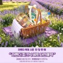 느티나무 베이커리