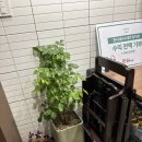 편대장영화식당 | 레전드 육회 맛집 다녀온 후기_편대장영화식당 동인직영점