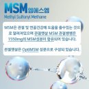 [건강] 관절보스웰리아 + MSM식이유황 한알로! 관절햇살 옵티엠에스엠 솔직 후기
