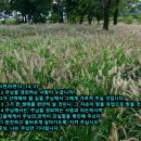 십분의구