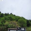 기포농장 이미지