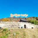 포항영신고등학교 | [블챌] 블로그챌린지 주간일기 11/4~11/10