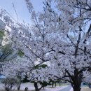 자바통상 | 4.5까지 첫 페이즈 끝, 1분기 회고 [취준.졸업일기]