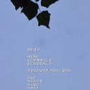 예측불허 럭비공 튀어오름 이미지