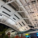 라이포트 | [발리 여행] ✈️ 발리 새벽 도착 숙소 추천: 노보텔 응우라라이 에어포트 숙박 후기