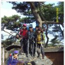 토골2 이미지