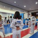 경희대 문무 태권도장 이미지