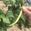 우빈농장 이미지