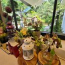 파티오-25 이미지