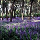 해찬솔길 이미지