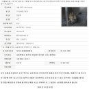 디아크동물종합병원 이미지