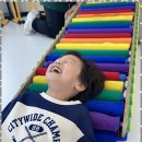 늘푸른태권도체육관 이미지