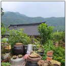 바위솔민박 | 담양펜션으로 핫한 정자가있는우리한옥펜션에 다녀온 후기 !