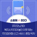 모노라마 이미지