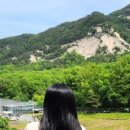 계동닭목살구이