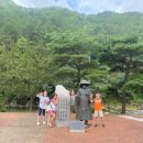 김삿갓휴게소 체험 캠핑장 이미지