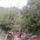 남해-255 이미지