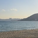 관성솔밭해변 이미지