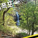 괴산새재관광편의시설 | 괴산 수옥폭포 나무 커튼 너머, 한 폭의 예술처럼 떨어지는 청량감 MAX의 수옥폭포