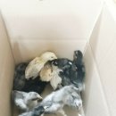 청계유통 이미지