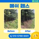 미소휀스 이미지