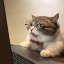 다온앤틱카페 이미지