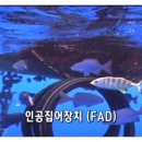 집어장치(FAD: Fish Aggregating Device) 이미지