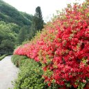 전북산림환경연구소(산림청) 이미지