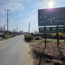 유천리 삼거리 이미지