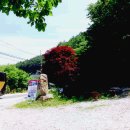 부전계곡(상) 이미지