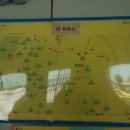동신자동차학원
