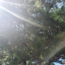 여송목재 이미지