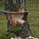 진안군산림조합 | 🌲산림기능사 합격후기｜실기부터 수입 현실까지
