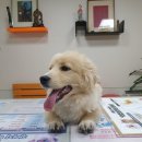 북비산로 이미지