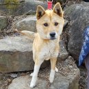 이배재로 이미지