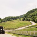 수동목장 이미지