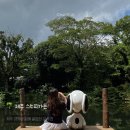 플로어가든01 | 제주도 동쪽 아기랑 갈만한 곳 추천 제주 스누피 가든 입장료 할인, 운영시간, 카페, 반려동물 동반...