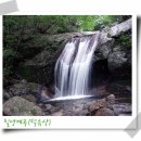 설천면009 Daum카페