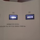 러브이즈인디에어