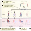 기출 정리 이미지