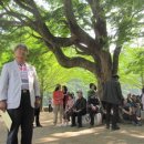 일월초등학교(청기분교) 이미지