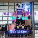 987 | TFU → 홍콩 HKG 레이오버 | ① 청두 텐푸 국제공항 (파워뱅크 주의!) ② 케세이퍼시픽 CX987 비행 후기