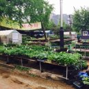 꽃뜰 호스텔 이미지