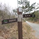 신지면-1 이미지