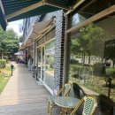 레이지 데이 이미지