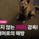 해방농장 이미지