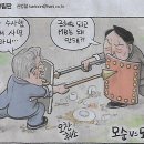 나라약국 Daum카페